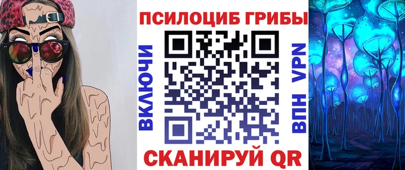 Псилоцибиновые грибы Psilocybe  дарнет шоп  Эртиль 